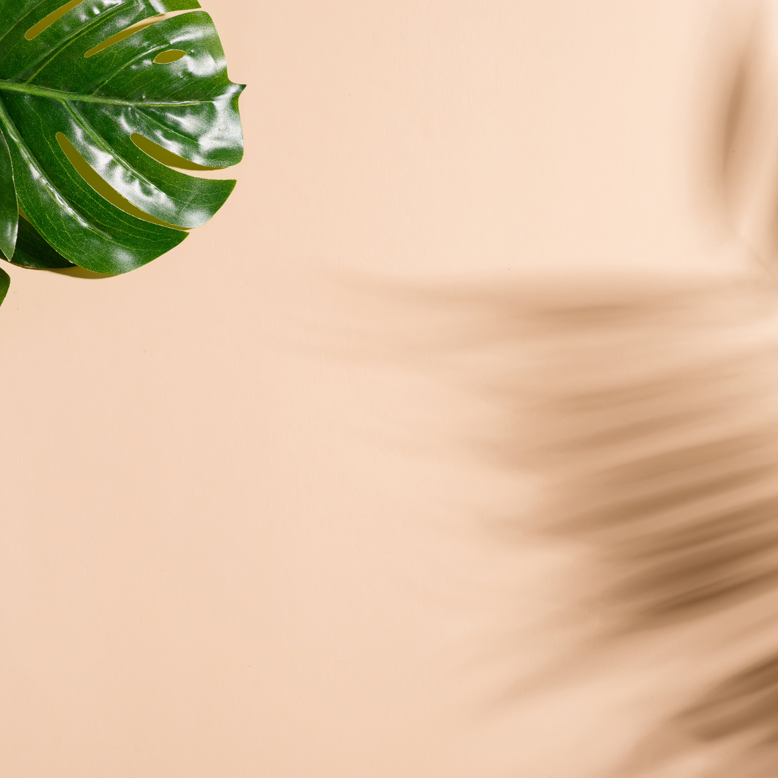 Natural palm leaf shadow